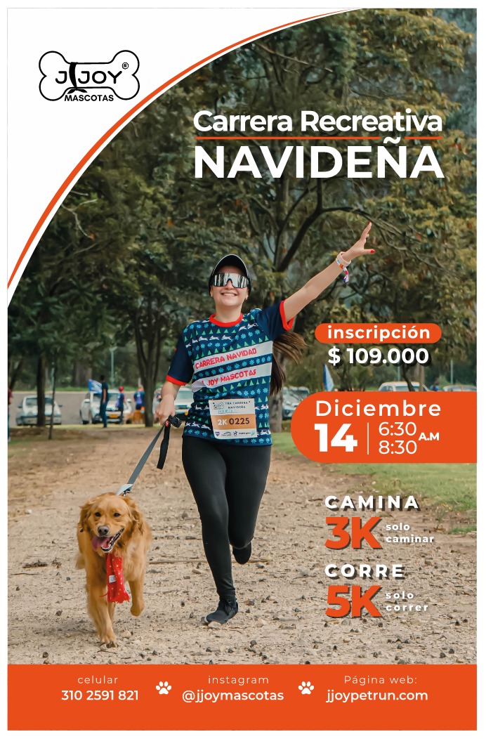 PASEO NAVIDEÑO